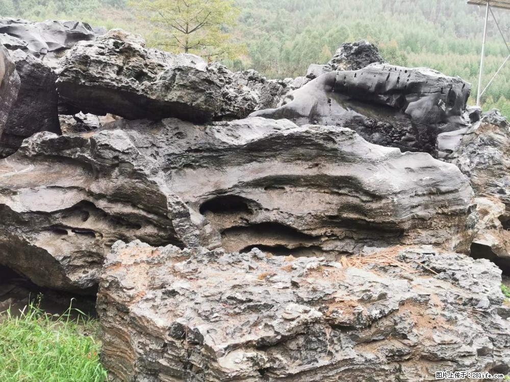 风景石、假山石大量有货，有需要的欢迎联系 - 新手上路 - 潜江生活社区 - 潜江28生活网 qianjiang.28life.net