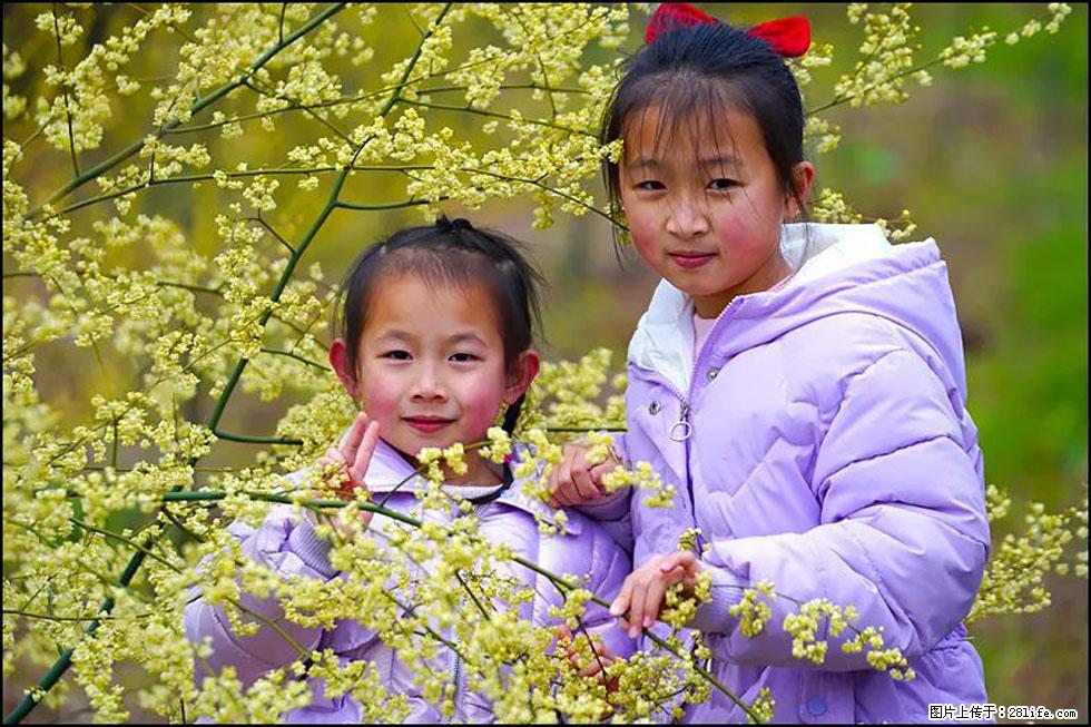【春天，广西桂林灌阳县向您发出邀请！】米珠山前有片山苍子花在飘香 - 游山玩水 - 潜江生活社区 - 潜江28生活网 qianjiang.28life.net
