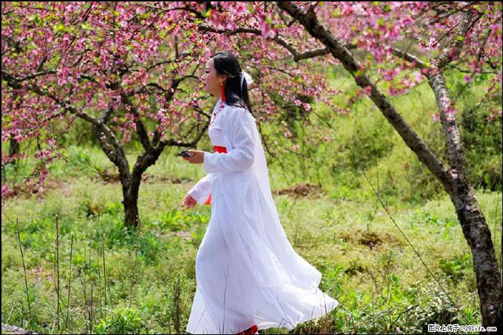 【春天，广西桂林灌阳县向您发出邀请！】官庄村有个醉美的桃花园 - 游山玩水 - 潜江生活社区 - 潜江28生活网 qianjiang.28life.net