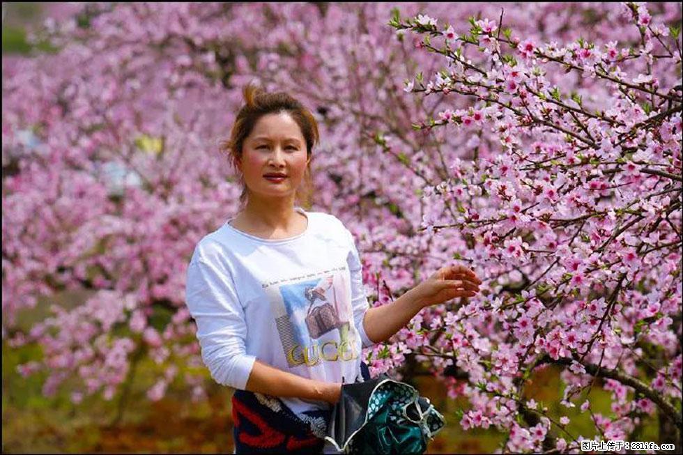 【春天，广西桂林灌阳县向您发出邀请！】官庄村有个醉美的桃花园 - 游山玩水 - 潜江生活社区 - 潜江28生活网 qianjiang.28life.net