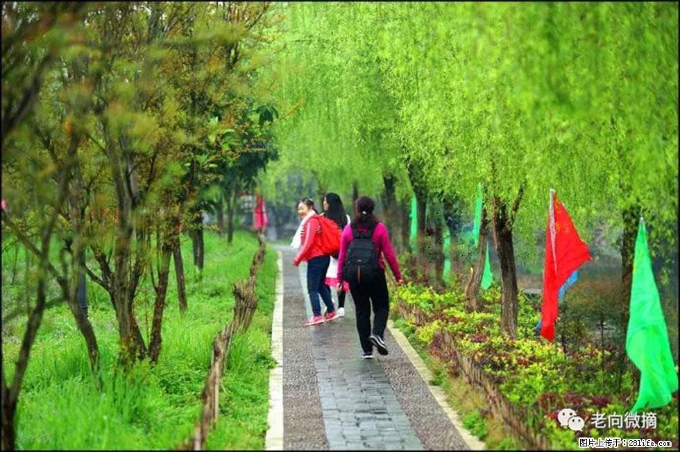【春天，广西桂林灌阳县向您发出邀请！】江口老街又逢春 - 游山玩水 - 潜江生活社区 - 潜江28生活网 qianjiang.28life.net