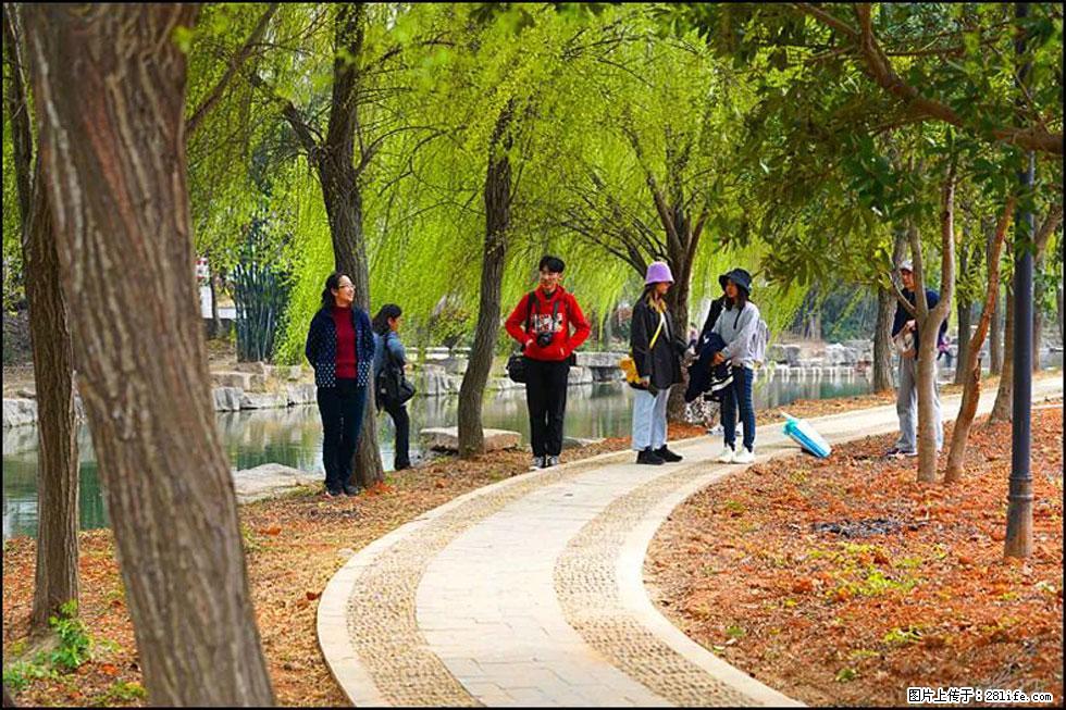 【春天，广西桂林灌阳县向您发出邀请！】江口老街又逢春 - 游山玩水 - 潜江生活社区 - 潜江28生活网 qianjiang.28life.net