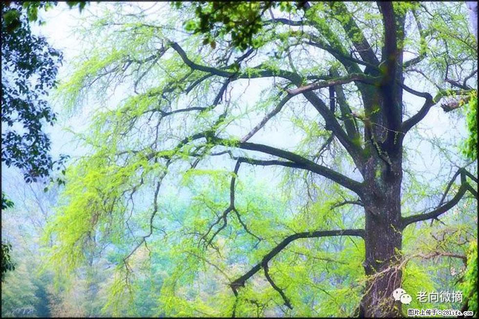 【春天，广西桂林灌阳县向您发出邀请！】在小龙村与春天约会 - 游山玩水 - 潜江生活社区 - 潜江28生活网 qianjiang.28life.net