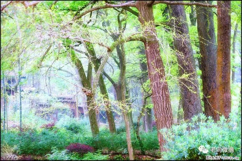 【春天，广西桂林灌阳县向您发出邀请！】在小龙村与春天约会 - 游山玩水 - 潜江生活社区 - 潜江28生活网 qianjiang.28life.net