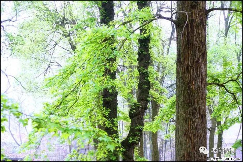 【春天，广西桂林灌阳县向您发出邀请！】在小龙村与春天约会 - 游山玩水 - 潜江生活社区 - 潜江28生活网 qianjiang.28life.net
