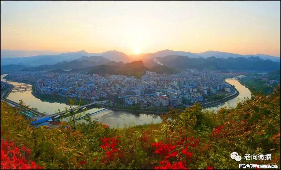 【春天，广西桂林灌阳县向您发出邀请！】登麒麟山，相约映山红 - 游山玩水 - 潜江生活社区 - 潜江28生活网 qianjiang.28life.net