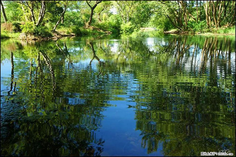 【春天，广西桂林灌阳县向您发出邀请！】熊家寨湿地公园 - 游山玩水 - 潜江生活社区 - 潜江28生活网 qianjiang.28life.net