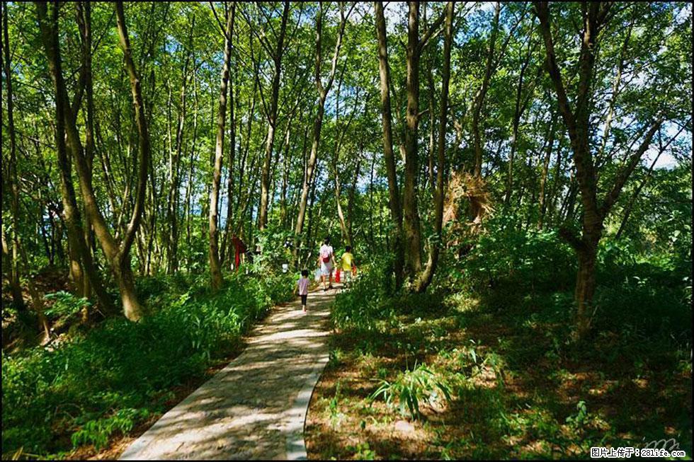 【春天，广西桂林灌阳县向您发出邀请！】熊家寨湿地公园 - 游山玩水 - 潜江生活社区 - 潜江28生活网 qianjiang.28life.net