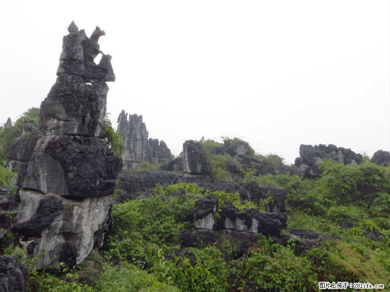 桂林旅游名城景点：灌阳文市石林 - 游山玩水 - 潜江生活社区 - 潜江28生活网 qianjiang.28life.net