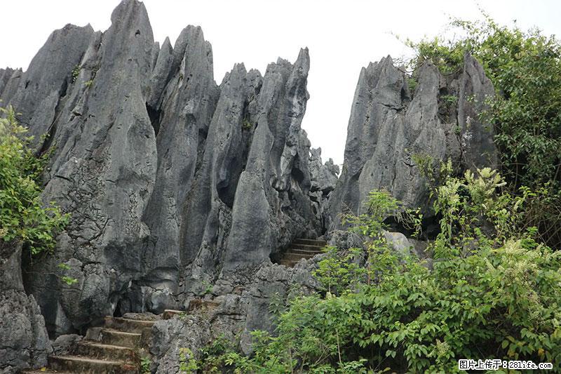 桂林旅游名城景点：灌阳文市石林 - 游山玩水 - 潜江生活社区 - 潜江28生活网 qianjiang.28life.net