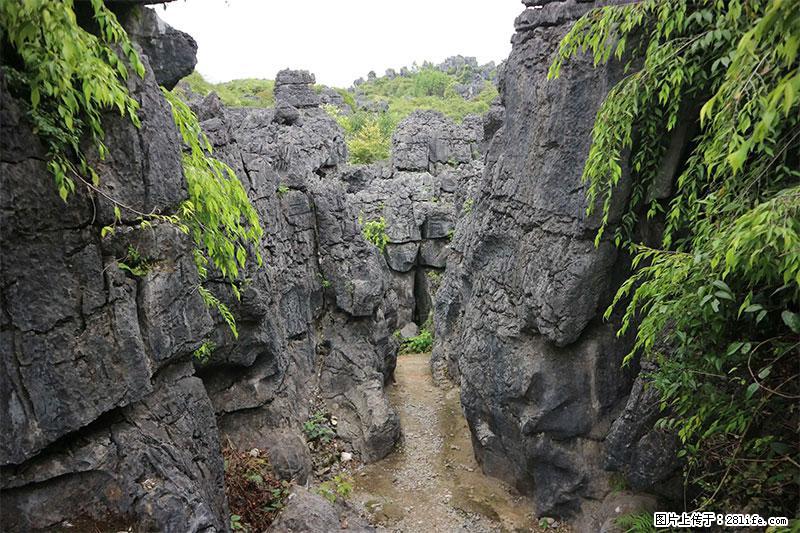 桂林旅游名城景点：灌阳文市石林 - 游山玩水 - 潜江生活社区 - 潜江28生活网 qianjiang.28life.net