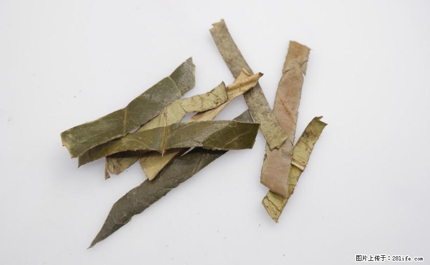 苦丁茶有哪些功效和作用 - 生活百科 - 潜江生活社区 - 潜江28生活网 qianjiang.28life.net