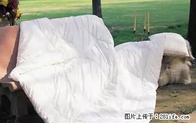 被子有异味？只要这样做，比晒太阳还强100倍！ - 家居生活 - 潜江生活社区 - 潜江28生活网 qianjiang.28life.net
