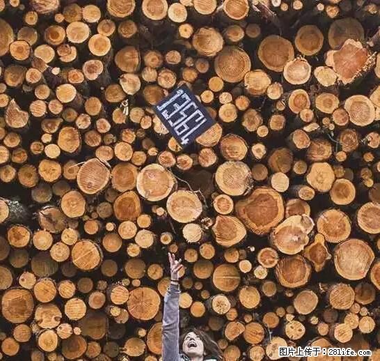 辞掉工作周游世界？现在他们在洗厕所…… - 游山玩水 - 潜江生活社区 - 潜江28生活网 qianjiang.28life.net