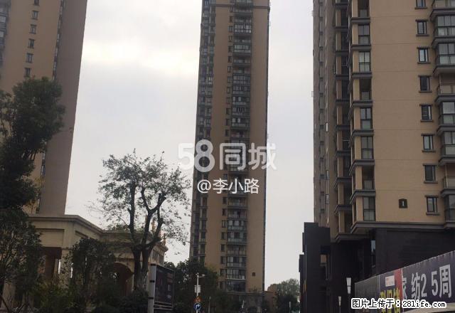 樟华国际 1室0厅1卫 - 房屋出租 - 房屋租售 - 潜江分类信息 - 潜江28生活网 qianjiang.28life.net