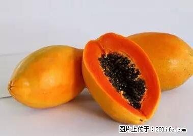 晕车、脚气、牙齿变黄、皮肤粗糙？学会这些三分钟搞定！ - 潜江生活资讯 - 潜江28生活网 qianjiang.28life.net