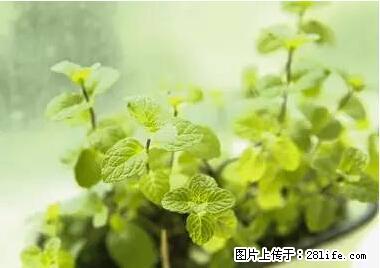 晕车、脚气、牙齿变黄、皮肤粗糙？学会这些三分钟搞定！ - 潜江生活资讯 - 潜江28生活网 qianjiang.28life.net