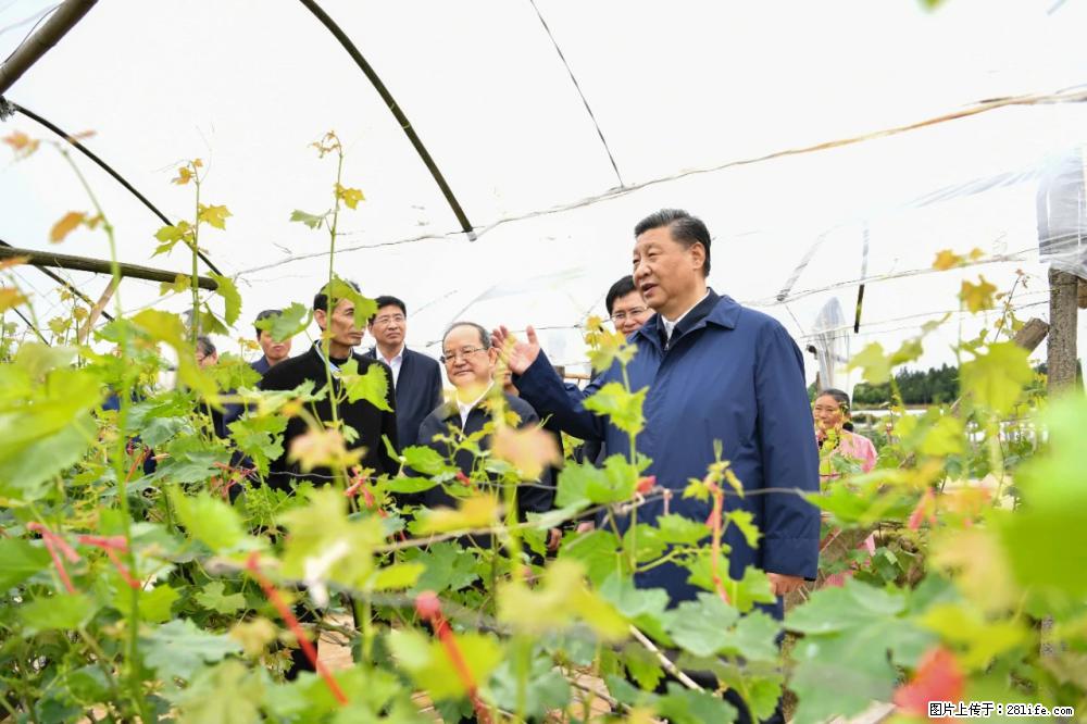 习近平赴广西考察调研 - 潜江生活资讯 - 潜江28生活网 qianjiang.28life.net