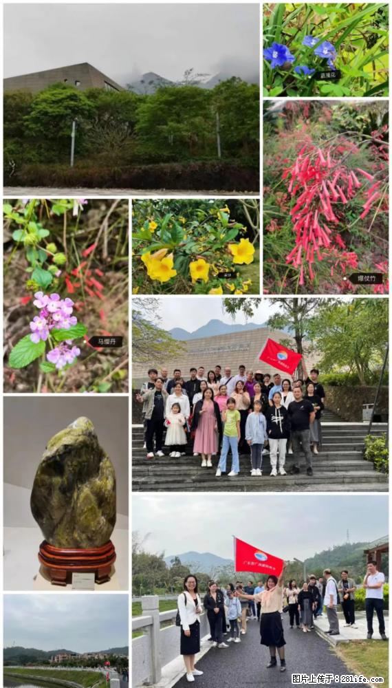 “粤灌文化 美好生活”油茶文化主题活动在广东深圳成功举办 - 潜江生活资讯 - 潜江28生活网 qianjiang.28life.net