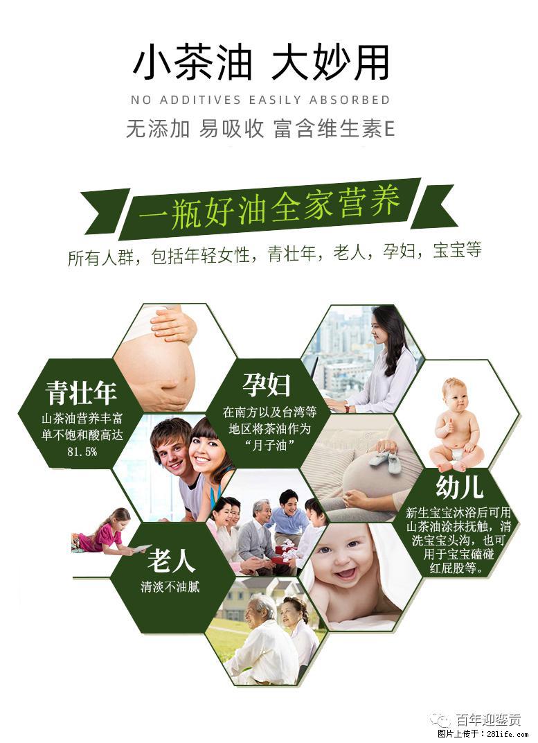 世界没有真相，只有认知，最好的食用油是中国的山茶油！ - 潜江生活资讯 - 潜江28生活网 qianjiang.28life.net