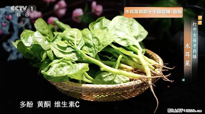 比牛奶补钙还厉害！凉血解毒、稳血糖...这菜冬天必吃，很多人却当草 - 潜江生活资讯 - 潜江28生活网 qianjiang.28life.net