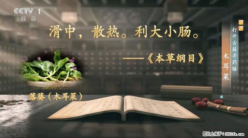 比牛奶补钙还厉害！凉血解毒、稳血糖...这菜冬天必吃，很多人却当草 - 潜江生活资讯 - 潜江28生活网 qianjiang.28life.net