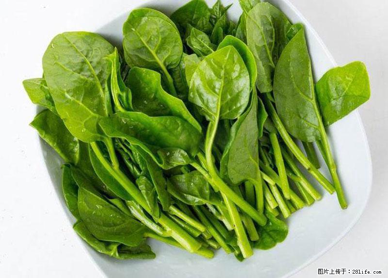 这些蔬菜是“天然钙片”，这6种被医生重点推荐 - 潜江生活资讯 - 潜江28生活网 qianjiang.28life.net